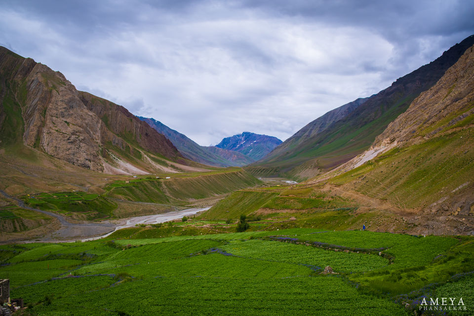 Photo of Pin Valley National Park, Valley, Himachal Pradesh, India by Leena S.