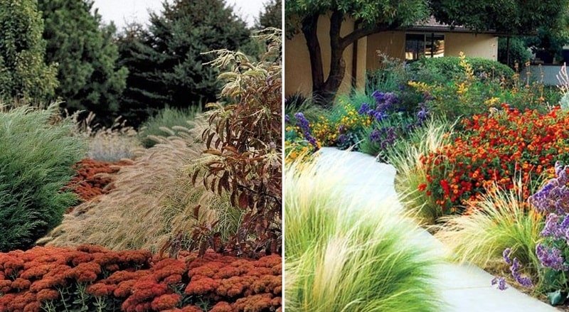 Фестиваль цветов в царицыно 2022. Картинки со словами к книжной выставке в помощь садоводу огороднику. Вейник в кашпо. Таблица посадки сидератов. Вейник остроцветковый в ландшафтном дизайне.