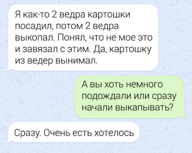 20+ слегка абсурдных ситуаций, которые могли произойти только на даче