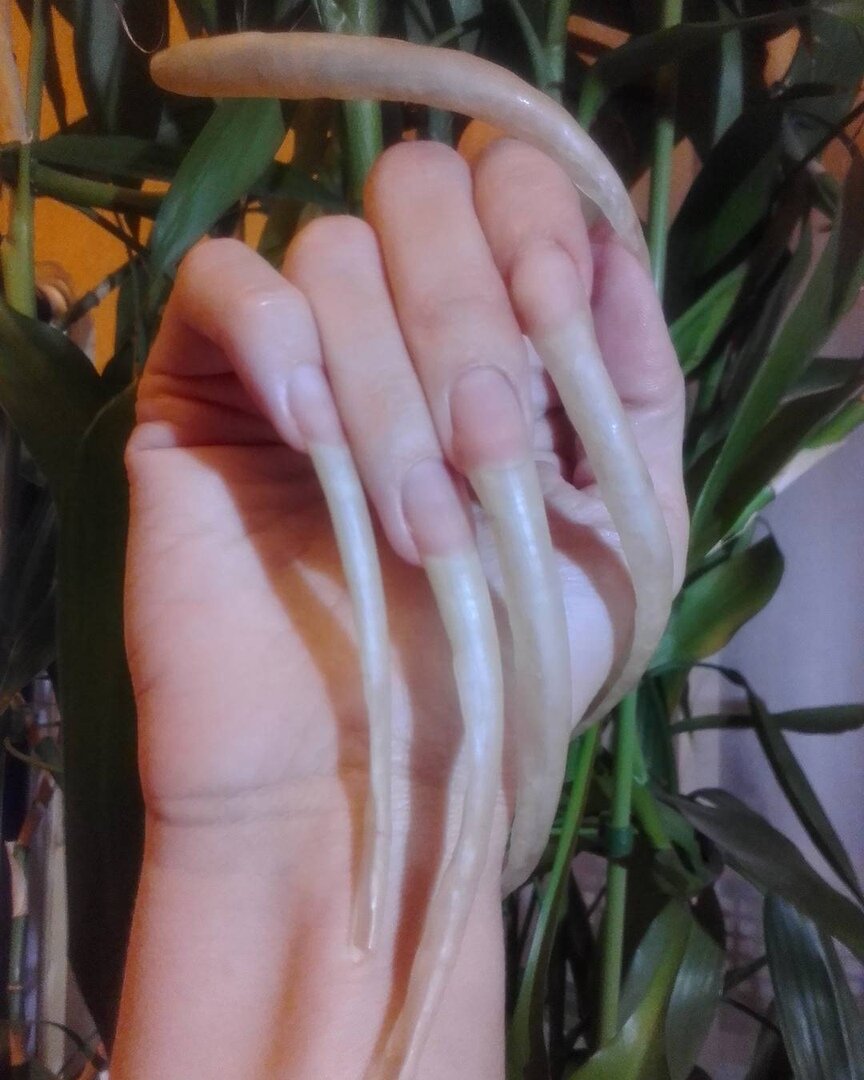 Очень длинные ногти на руках