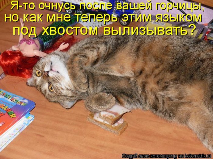 Мысли вслух :)