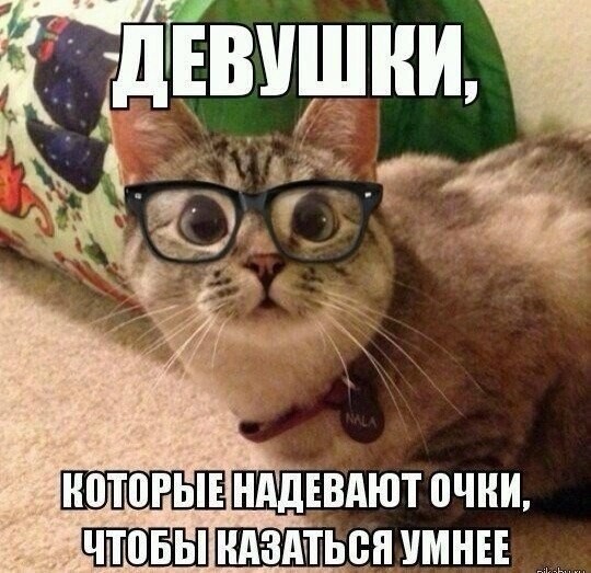 Прикольные и забавные фотографии с надписями из сети Прикольные и забавные фотографии с надписями из сети