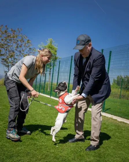 Княгиня Шарлен, князь Альбер II и члены монаршей семьи посетили приют для животных в Монако Шарлен, Альбер, князь, Монако, княгиня, Масси, животных, князя, приюта, семьи, Гримальди, Камилла, Стефания, принцесса, принцессы, ШарленКнягиня, МеланиАнтуанетта, IIКнягиня, Уиттсток, IIГарет