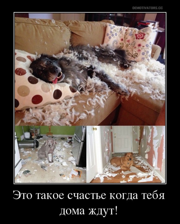 ������� ����� � ����