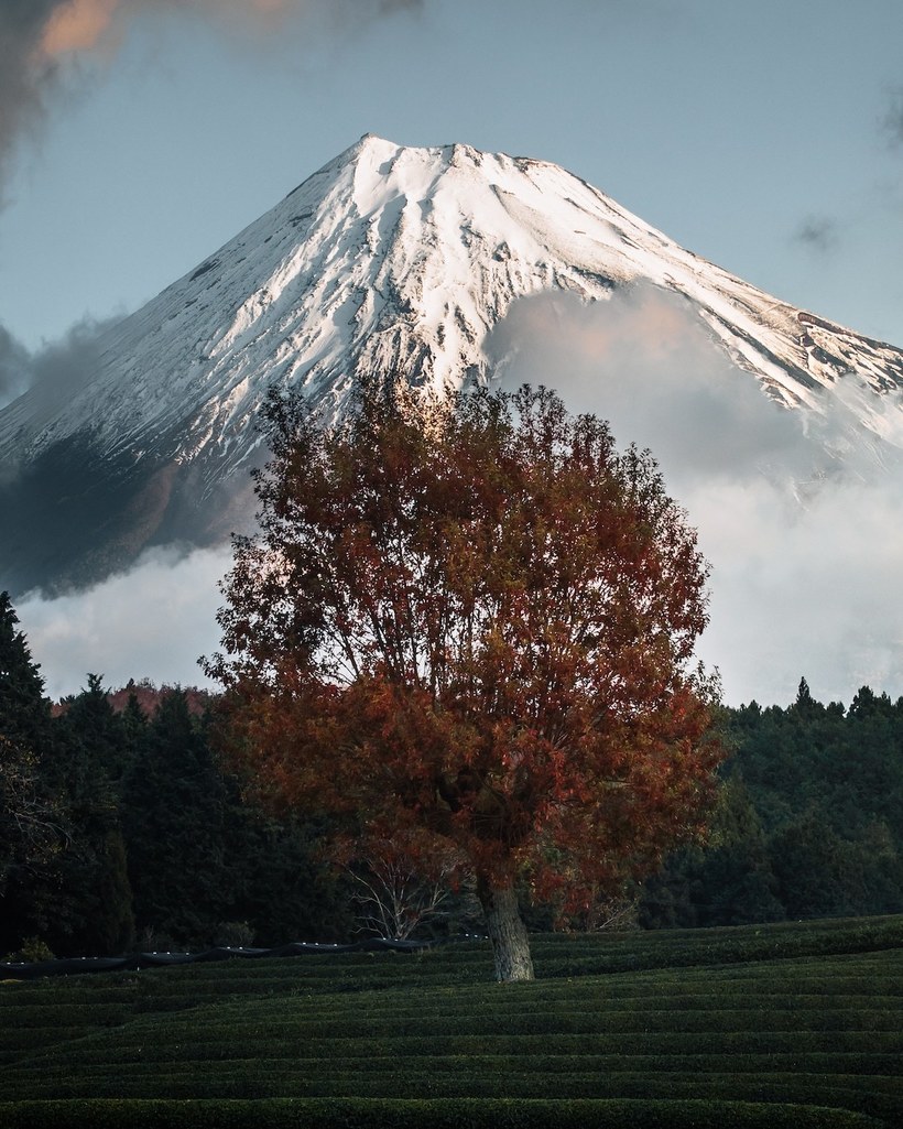 Как фотографы редактируют свои снимки Японии для конкурса от Adobe становятся, может, КАДРЕИрина, Страны, демонстрируют, стараний, фоторедакторахРезультаты, потрудились, которыми, солнца, восходящего, снимки, благодаря, собственные, представить, мнений, лидеров, профилях, найдут, которые