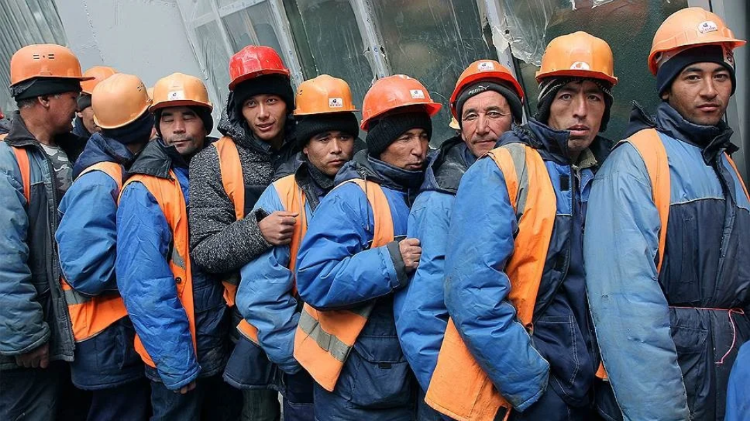 Бесстыжие иллюзии "дешевизны" привлечения мигрантов к труду в России