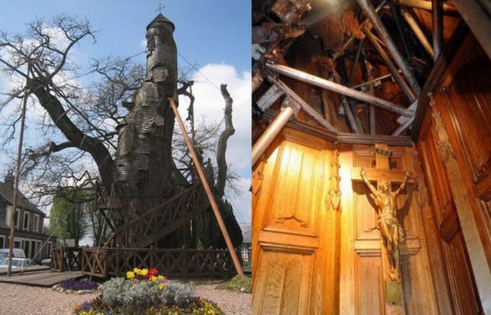 Необычная «Chene-chapelle».