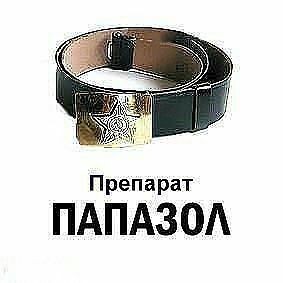 Пробка - это дураки и дороги в одном месте                           