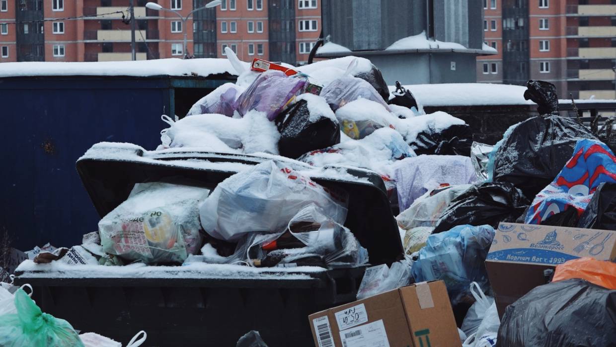 Экологи требуют построить заводы по переработке мусора в Петербурге и Ленобласти 