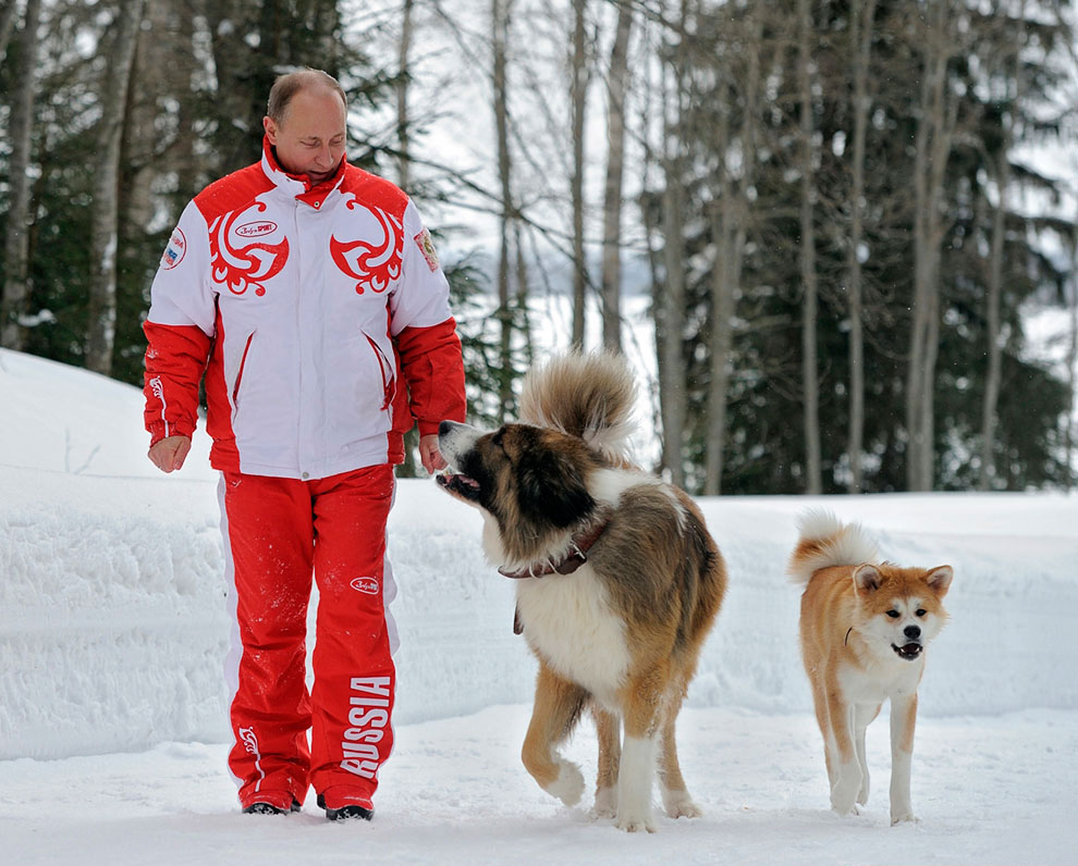 Владимир Путин и его собаки. фото