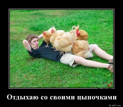 Демотиваторы для хорошего настроения Демотиваторы для хорошего настроения демотиваторы