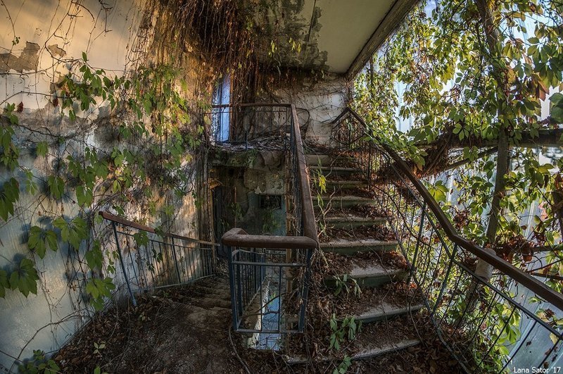 Заросший пионерский лагерь в Крыму Заросший пионерский лагерь в Крыму самостоятельные путешествия,туризм