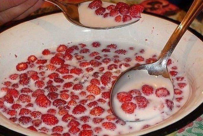 Вкус детства Вкус детства