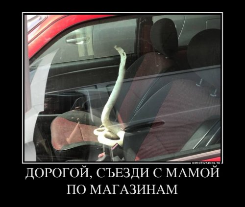 Новая порция демотиваторов (15 шт)