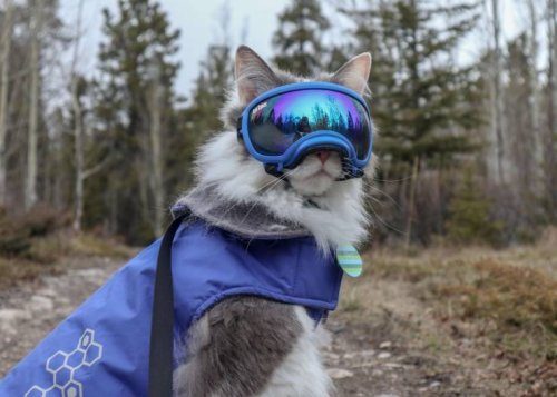 Фотоприколы на любой вкус и цвет 