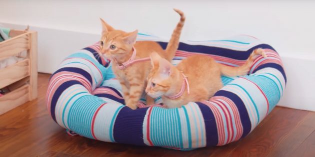 7 простых способов сделать лежанку для кошки своими руками для дома и дачи,мастер-класс
