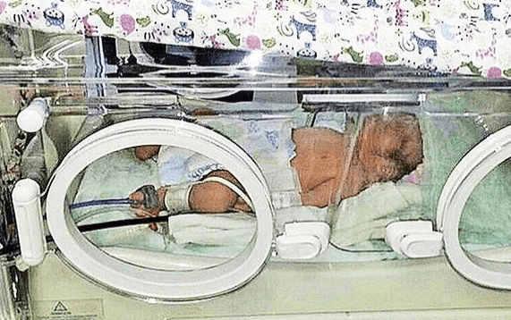 Собака упорно тащила тяжёлый груз до самого дома истории из жизни