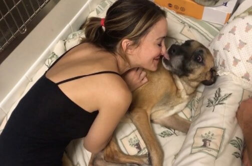 shelter-dog-14