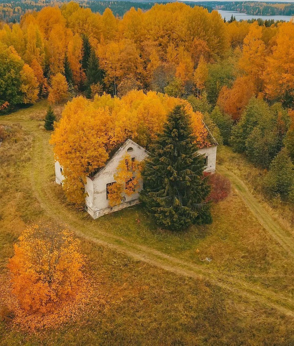 Захватывающие фотографии заброшенных мест заброшки,тревел-фото