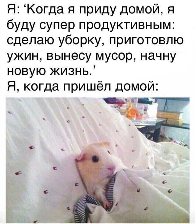 Вовочка приходит в аптеку.. Вовочка приходит в аптеку.. анекдоты,веселье,демотиваторы,приколы,смех,юмор