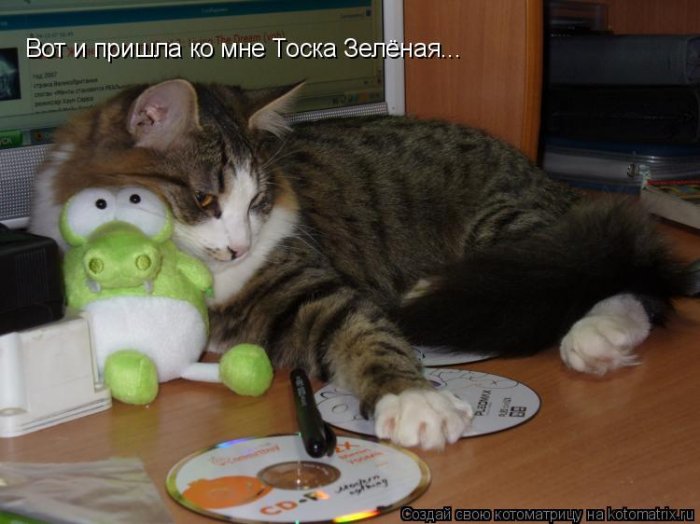 Мысли вслух :)