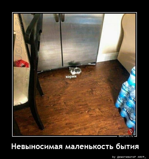 Большая коллекция демотиваторов: «Так я понял, что слушать родителей необходимо» 