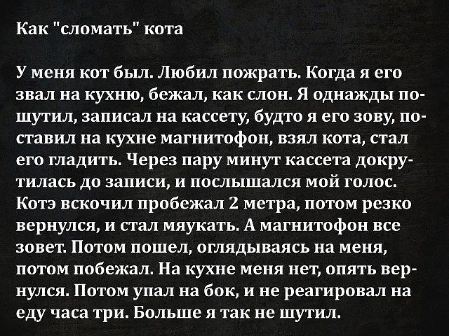 У всех проблем одно начало… Сидела женщина. Скучала… великая, Когда, октябрьская, революция, должно, Михайлова, чтобы, между, судью, когда, больше, Стаса, лучше, расскажите, позавчеpа, улицу, скажет, долой, паpнем, отправится