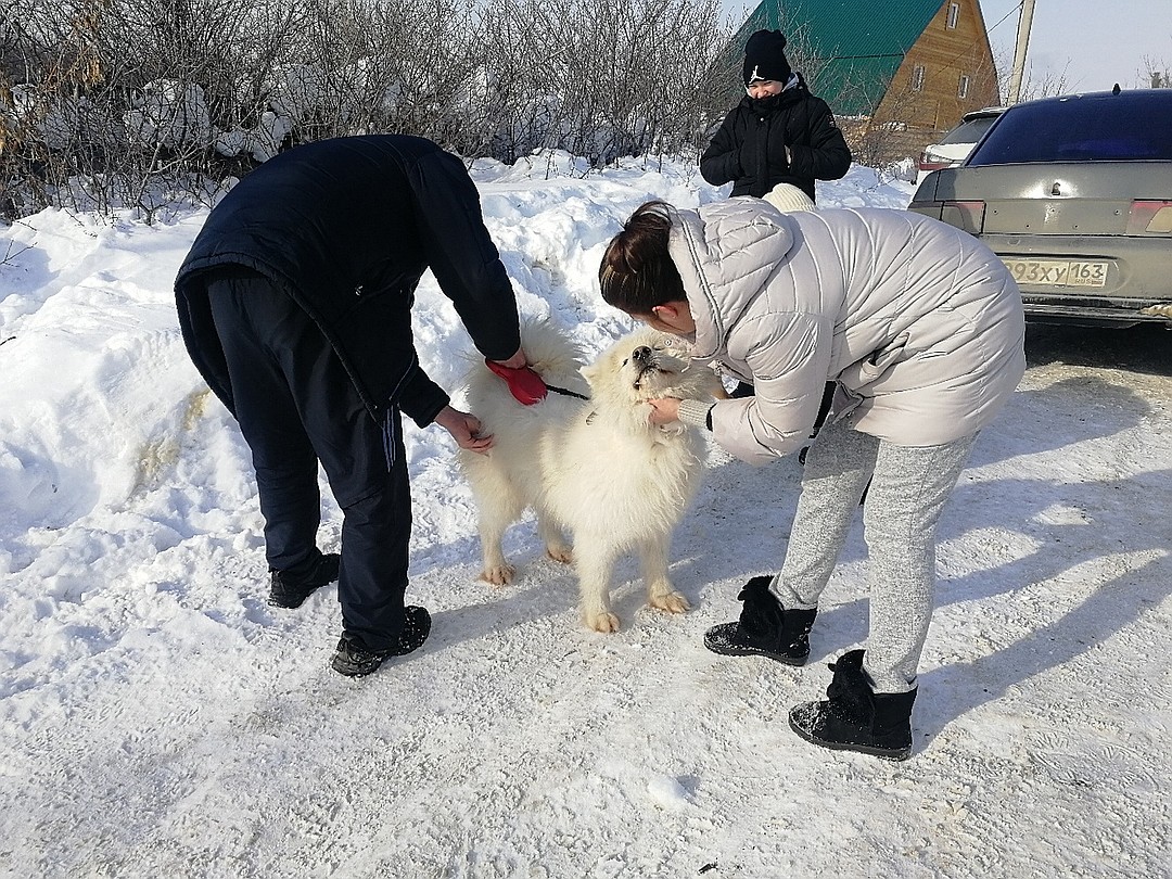 Песик не скрывал радости во время встречи Фото: соцсети