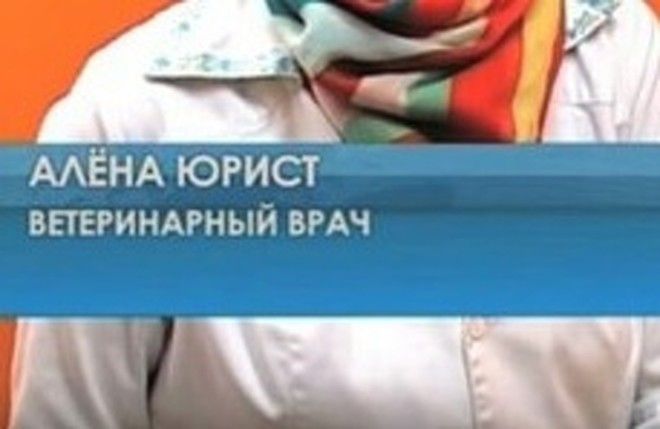 Значит, дело было так. Возвращается как- то муж внезапно домой из интернета... веселые картинки