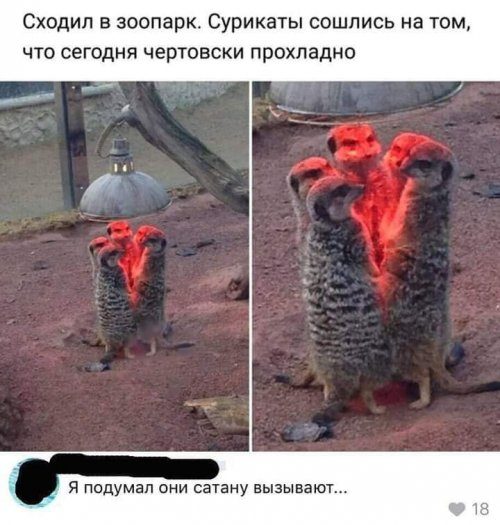 Просто прикольные картинки 