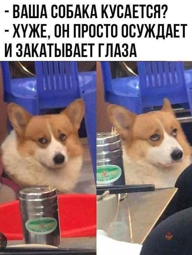 Как человек хрупок: стоишь - варикоз, сидишь - геморрой, лежишь - пролежни Как человек хрупок: стоишь - варикоз, сидишь - геморрой, лежишь - пролежни