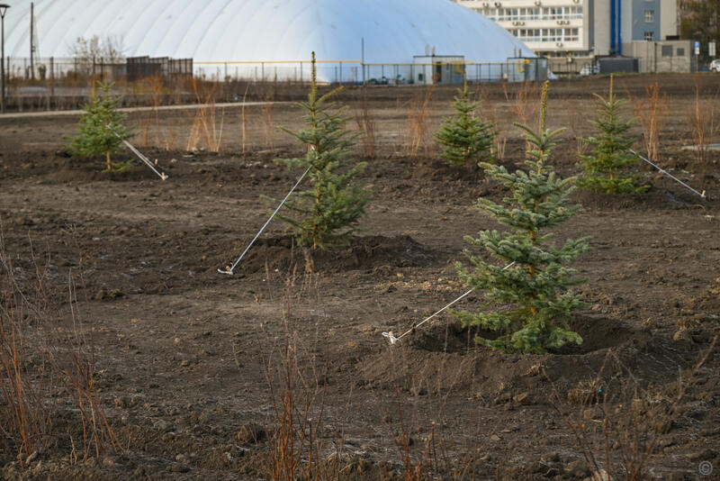 Благоустройство нового парка за ТЦ 