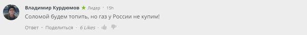 "Соломой топить будем, но газ у России не купим!" — посмеялся юзер Владимир Курдюмов.