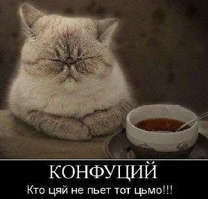 Китайский (или японский?) чай глаза, деревянном, километров, вмятину, шесть, цветок, чтобы, наверняка, связаны», подумала, Потому, Вселенной, наверное, можно, чудонапитокАккуратно, налить, яйцо«Все, пролить, капельки, налила