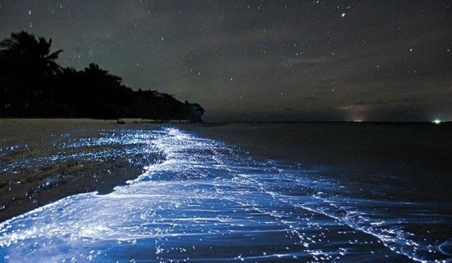 10 самых удивительных пляжей мира 10 самых удивительных пляжей мира пляжи мира,путешествия