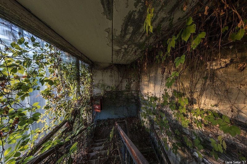 Заросший пионерский лагерь в Крыму Заросший пионерский лагерь в Крыму самостоятельные путешествия,туризм