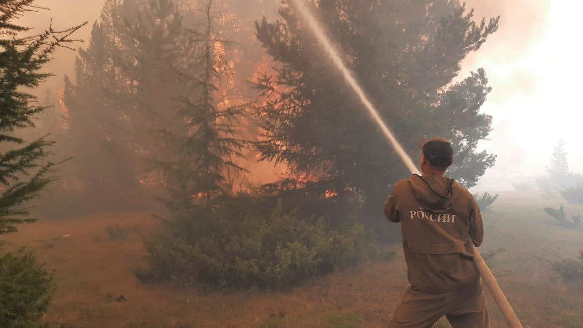 Экстренные службы тушат лесной пожар вблизи подмосковной Балашихи на площади 1,5 га