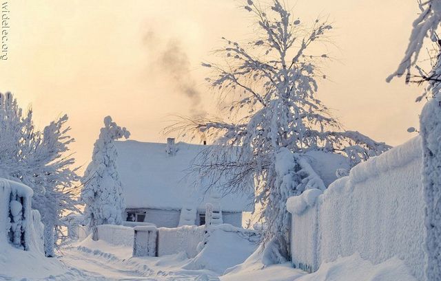 Милые фотографии и позитивные мотиваторы для улыбки (10 фото)