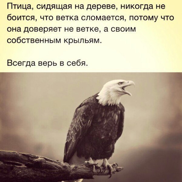 Просто верь в себя картинки с надписями, ладошка ладошке спишь
