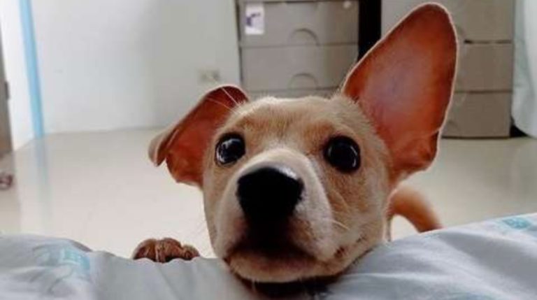 BeFunky-collage (39)