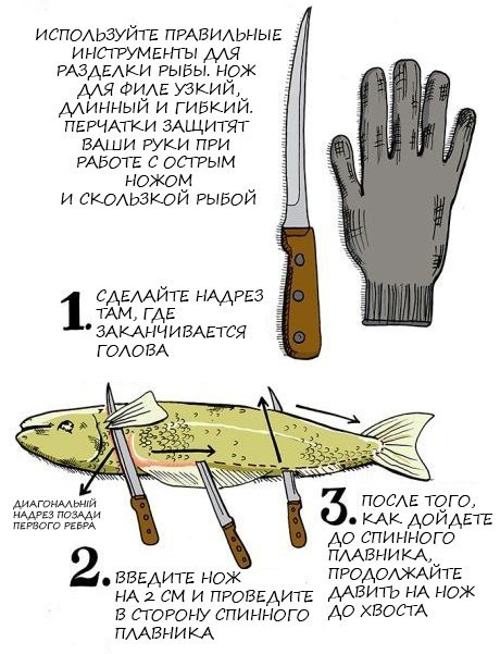 Как разделать рыбу на филе Рыба, кулинария, Кулинарное подполье