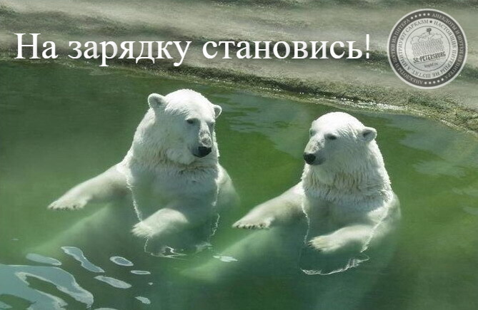 На зарядку становись