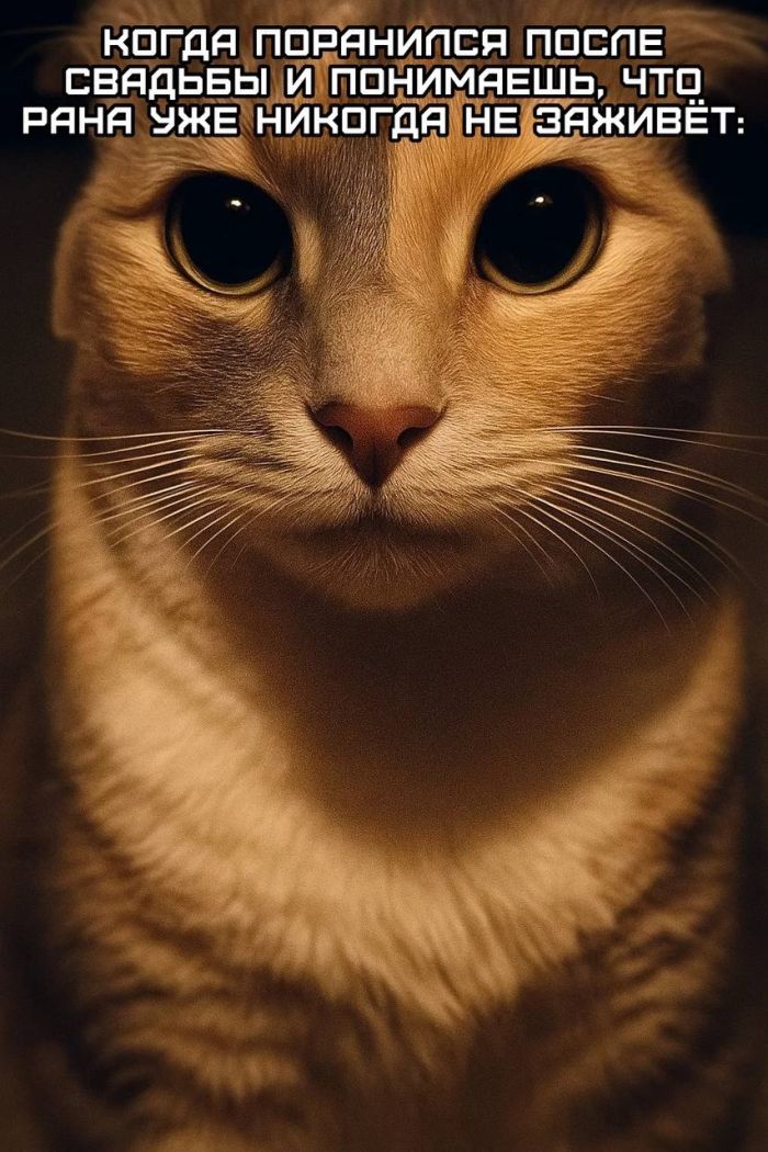 Юмор для тех, кто уже повзрослел и понял, что «иметь всё» - значит ещё и чинить всё 