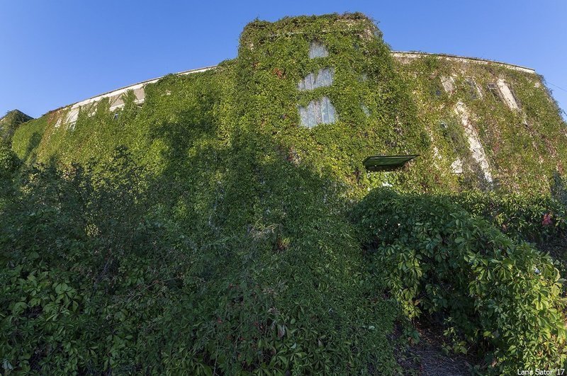 Заросший пионерский лагерь в Крыму Заросший пионерский лагерь в Крыму самостоятельные путешествия,туризм