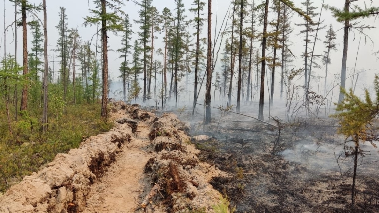 Суд в Анапе рассмотрит дело о мошенничестве в отношении директора заповедника «Утриш»
