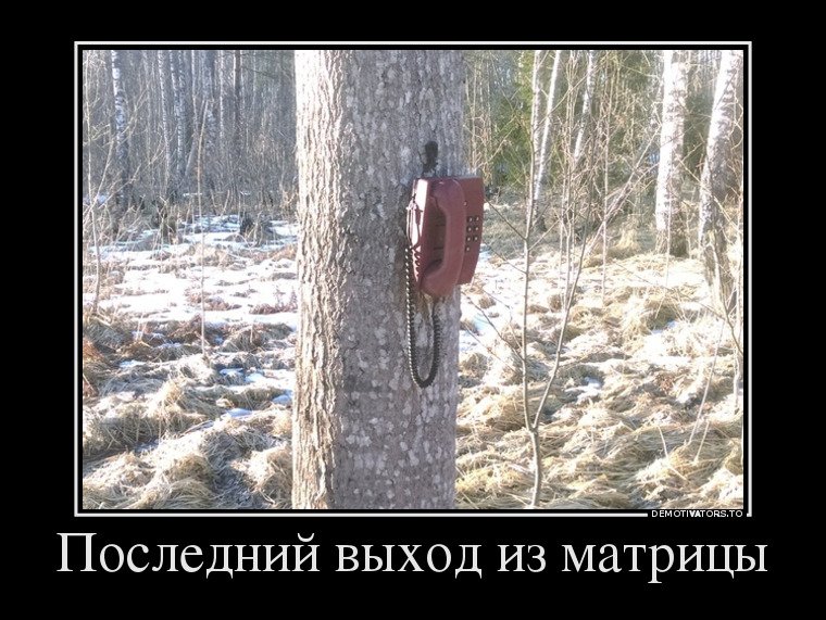 Нарисовать простую, плоские картинки приколы