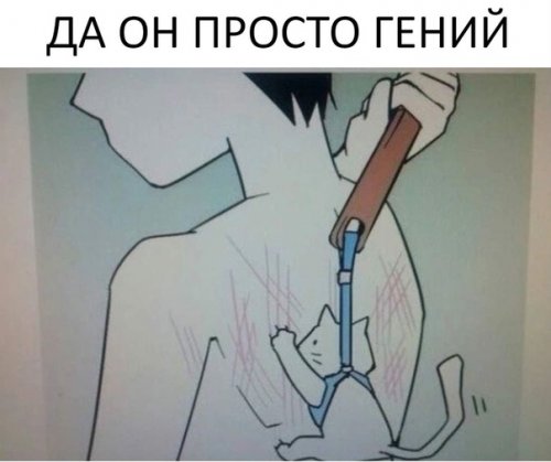 Смешные анекдоты на любой вкус