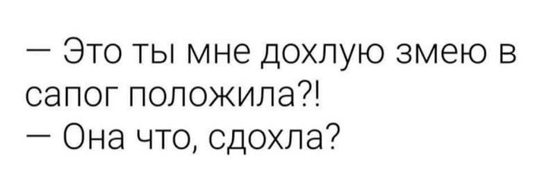 Воспитательница Виолетта Валерьевна к концу первого рабочего дня в детском саду согласилась, что её зовут Фиолетовое Варенье 