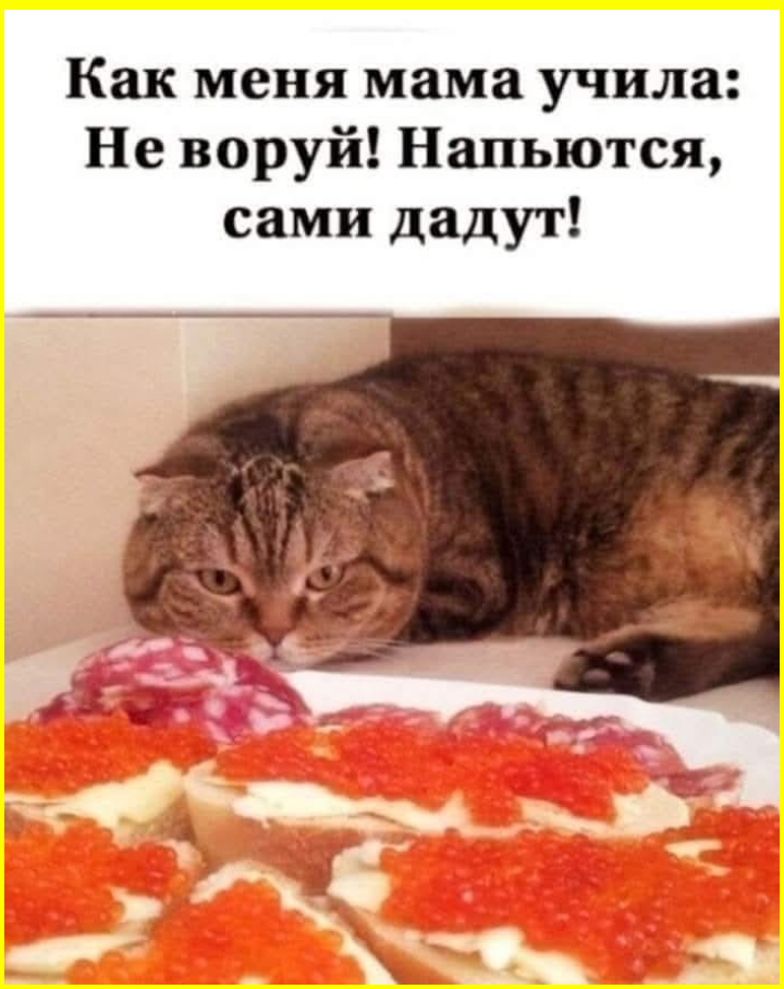 Дошучиваем новогодние  шутки. Юмор на сон грядущий 