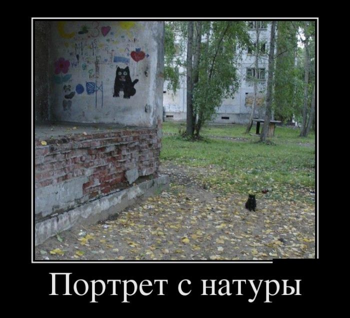Демотиваторы демотиваторы, прикол, юмор